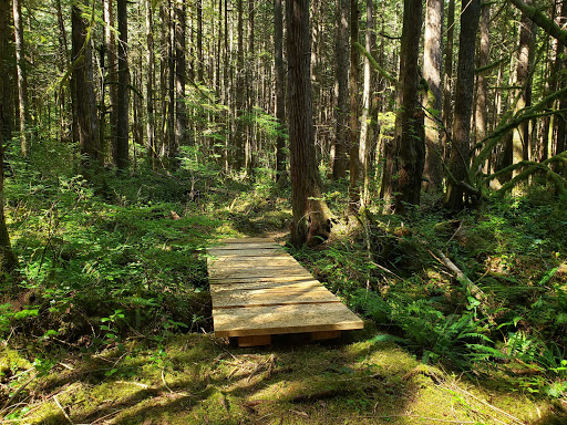 Nudist Park «Lake Bronson Club Family Nudist Park», reviews and photos, 33033 Cottontail Road, Sultan, WA 98294, USA