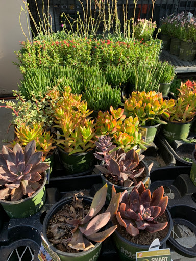 Home Improvement Store «The Home Depot», reviews and photos, 480 E Hamilton Ave, Campbell, CA 95008, USA