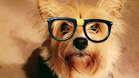 Park Feed Store & Pet Supply - Photo 3 - Car repair in Pinellas Park, FL, Jacksonville