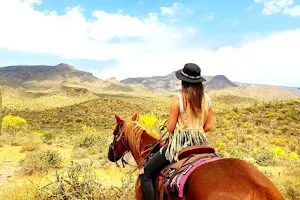 MTM Ranch Horseback Adventures image