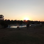 Photo n°7 de l'avis de Massimo.a fait le 15/09/2021 à 10:06 sur le  Agriturismo Vento di Maremma à Marina di Grosseto