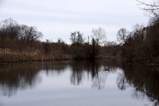 Park «Bronx River Park», reviews and photos, 2 Bronx River Pkwy, Scarsdale, NY 10583, USA