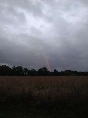 Oversee Farm - photo 11