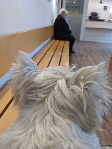 Tages-Tierklinik Rosenheim unter Rosenheim, Bayern