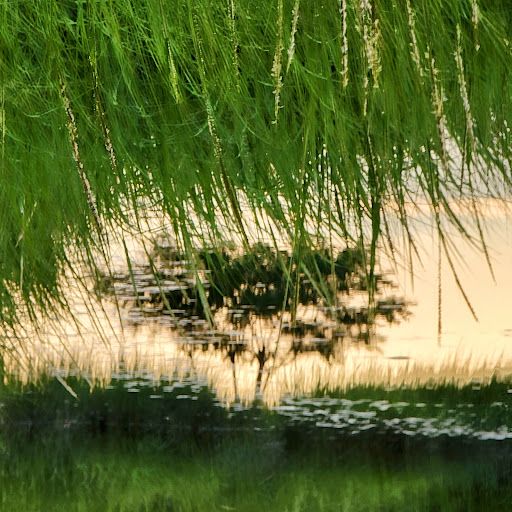 Nature Preserve «Sandy Point Bird Sanctuary», reviews and photos, Beach St, West Haven, CT 06516, USA