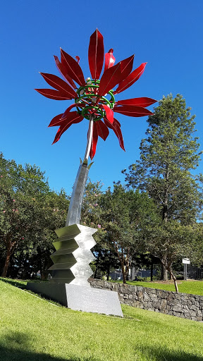 Travel Agency «About Australia», reviews and photos, 226 W Rector #1, San Antonio, TX 78216, USA