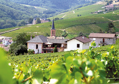 Domaine Milleranche à Jullié
