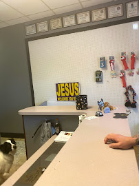 Pretty Paws Boutique - Photo 4 - Car repair in Longview, TX, Longview