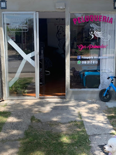 Peluqueria Des-peinadas - Peluquería