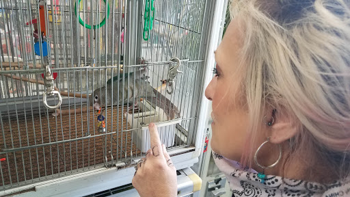 Pet Store «Pettin Place», reviews and photos, 1121 S Wells Ave, Reno, NV 89502, USA