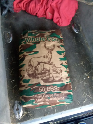 Supermarket «Food Giant», reviews and photos, 12057 US 49, Gulfport, MS 39503, USA