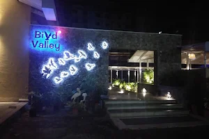 Bird Valley Wakad Restaurant and Bar image