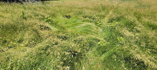 Public Golf Course «Apple Valley Golf Course», reviews and photos, 8661 140th St W, Apple Valley, MN 55124, USA