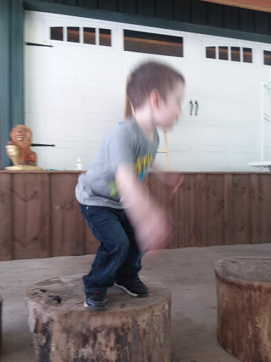 Zoo «Chestatee Wildlife Preserve & Zoo», reviews and photos, 469 Old Dahlonega Hwy, Dahlonega, GA 30533, USA