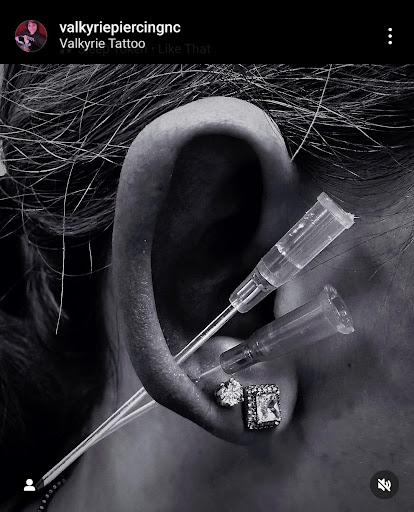 Find bird tattoo ideas for your next unique tattoo in Burlington at Valkyrie Tattoo LLC