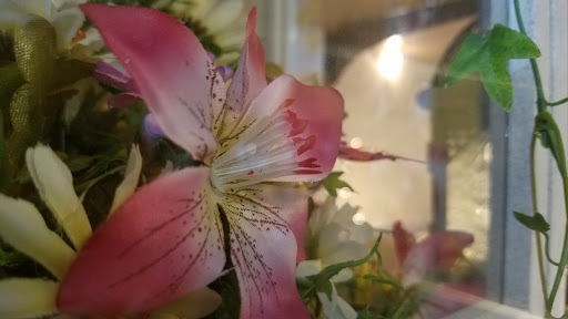 Florist «Exotic Florist & Gifts», reviews and photos, 1909 S Main St, Madisonville, KY 42431, USA