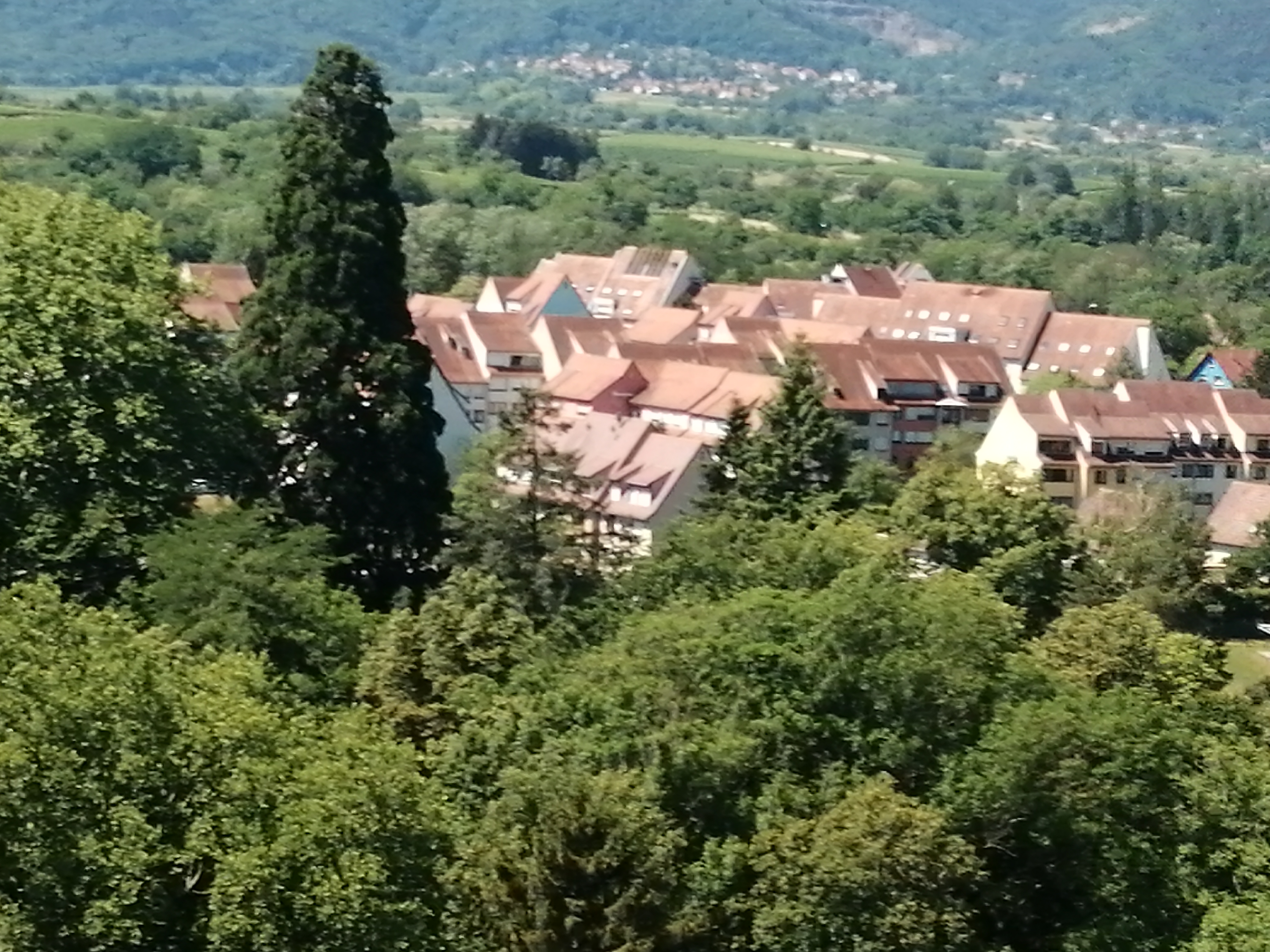 Photo n° 2 de l'avis de didier.a fait le 30/06/2022 à 21:54