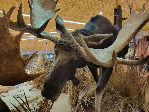 Sporting Goods Store «Bass Pro Shops», reviews and photos, 10000 Bass Pro Blvd, Rossford, OH 43460, USA