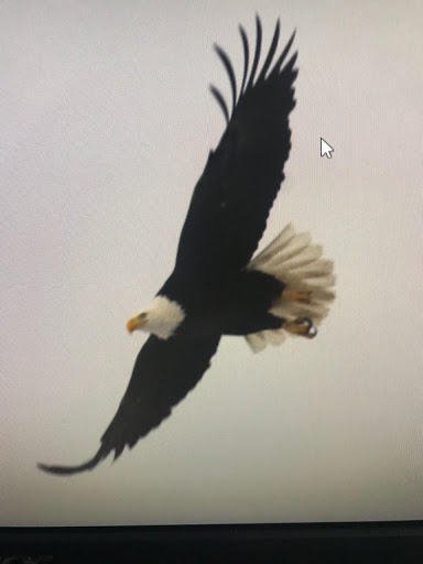 Process Server «U Been Served Process Server», reviews and photos, 8536 Buckeye Dr, Fontana, CA 92335, USA