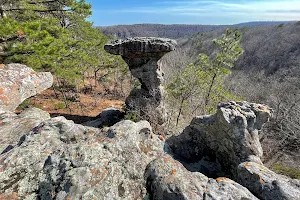 Pedestal Rocks Scenic Area image