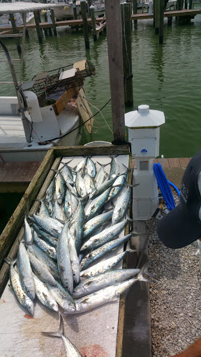 Fishing Charter «Bent Charters Offshore Fishing», reviews and photos, 503 150th Ave, Madeira Beach, FL 33708, USA