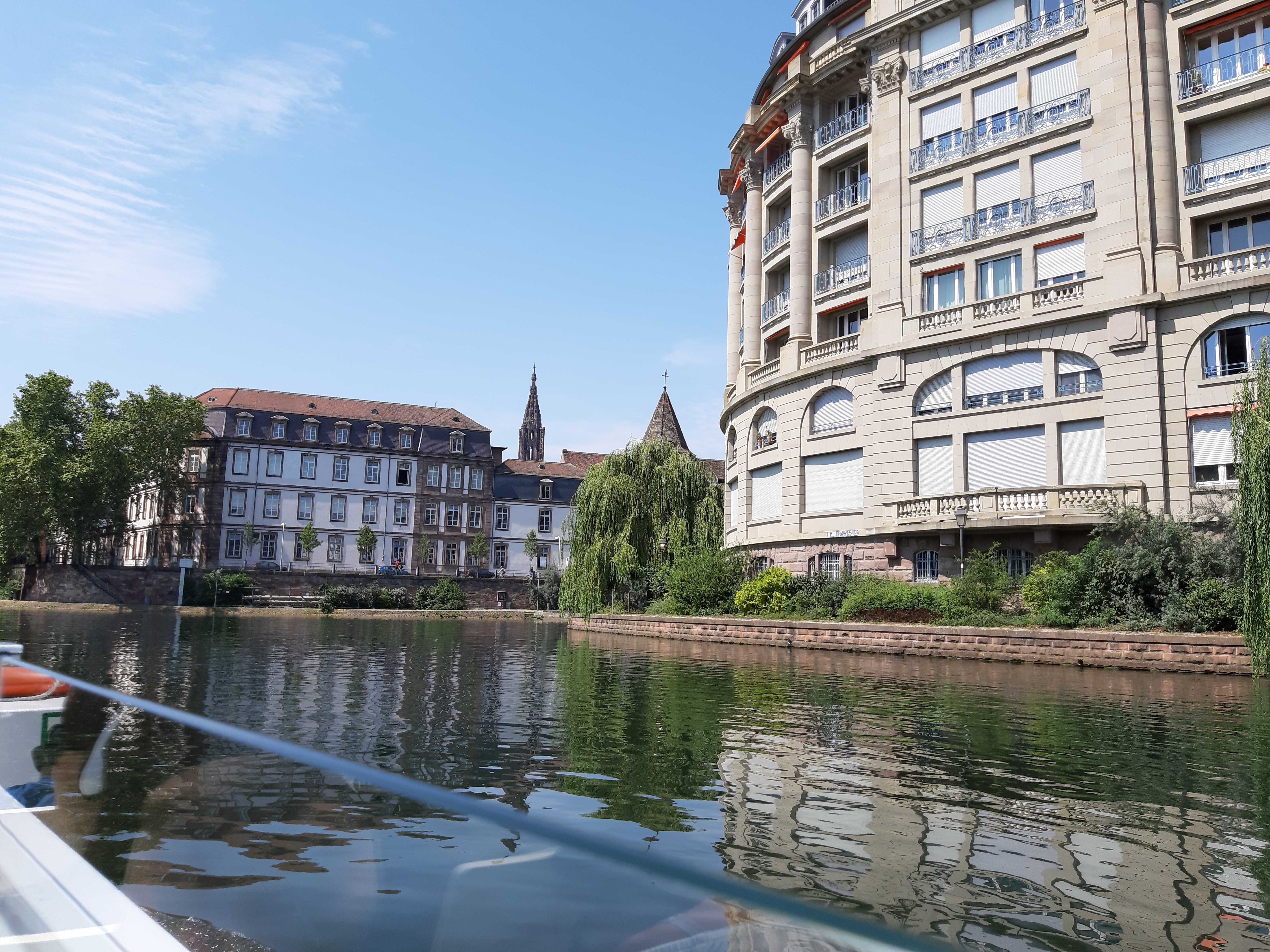 Photo n° 7 de l'avis de Delfin.e fait le 19/07/2019 à 11:52