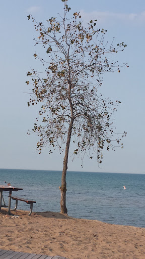 Park «Fort Gratiot County Park», reviews and photos, 3325 Metcalf Rd, Fort Gratiot Twp, MI 48059, USA