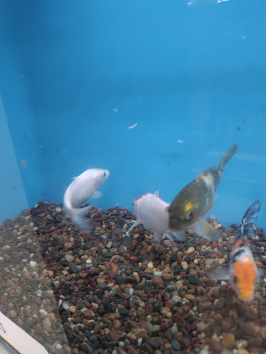 Shopping Mall «New Centre Market», reviews and photos, 4711-4719 New Centre Dr, Wilmington, NC 28405, USA