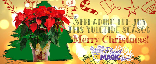 Florist «House of Plants Florist Inc», reviews and photos, 1670 Merriman Rd, Akron, OH 44313, USA