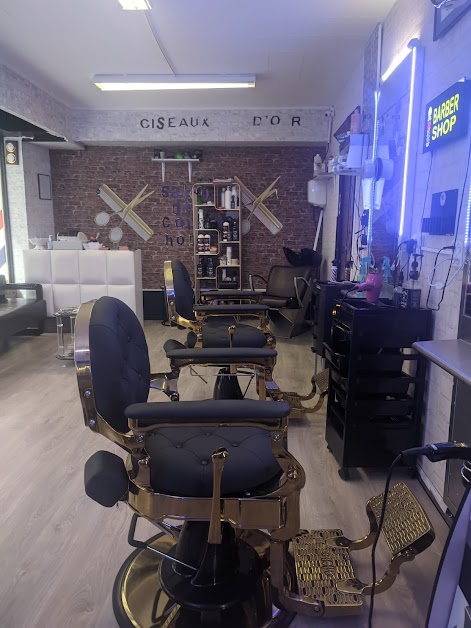 Ciseaux d'or barber shop Orthez