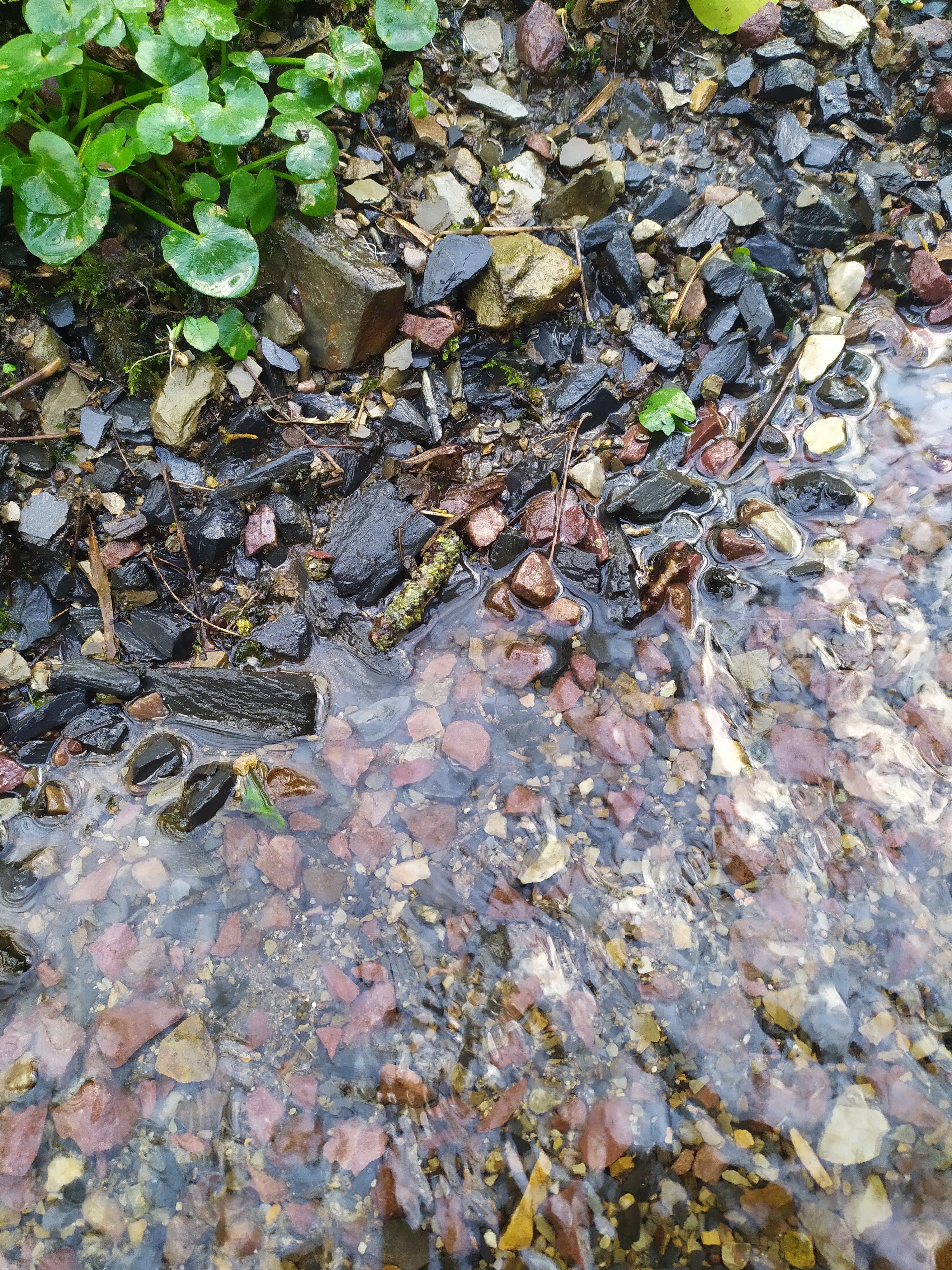 Photo n° 3 de l'avis de Céline.r fait le 20/02/2020 à 17:52