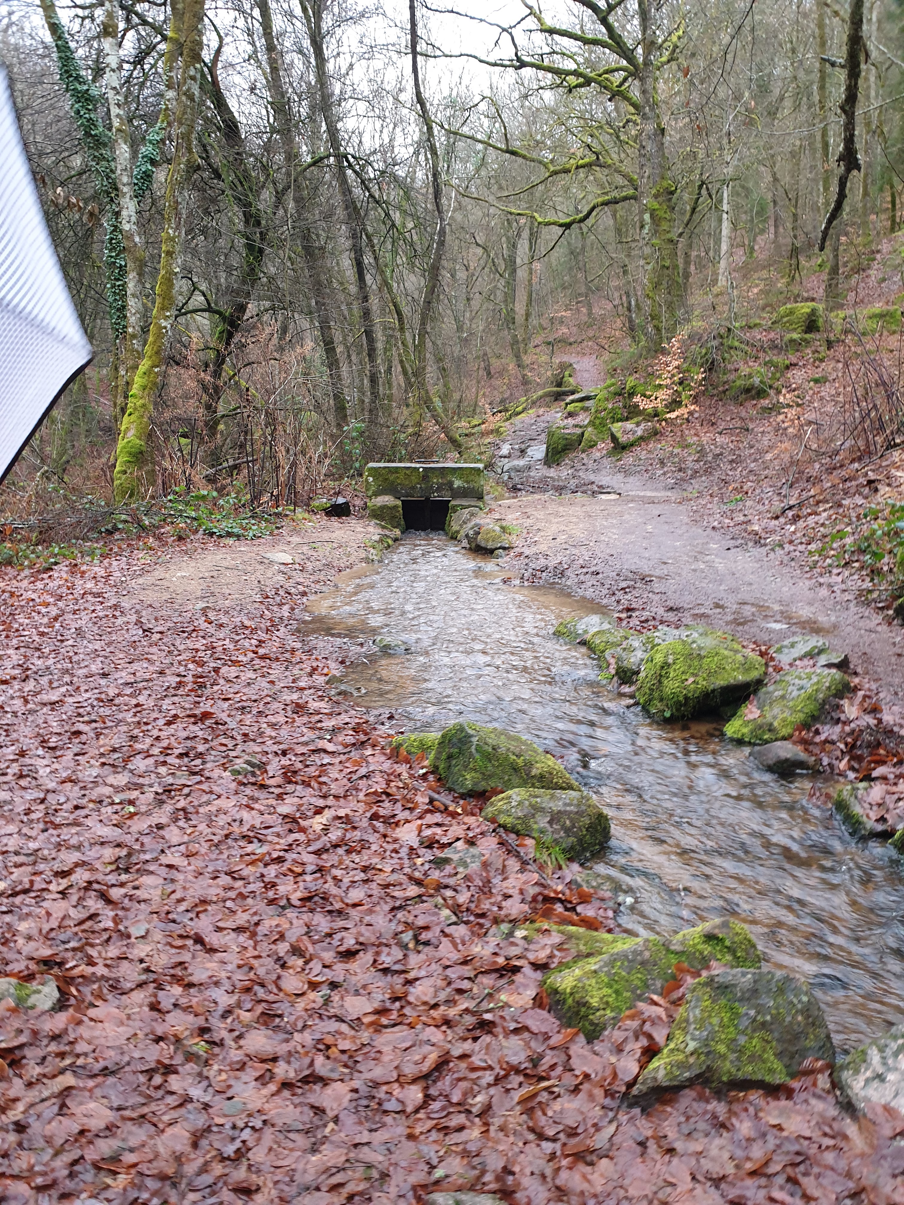 Photo n° 4 de l'avis de Bouet.a fait le 18/12/2019 à 18:36