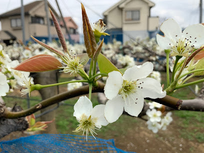 阿川園