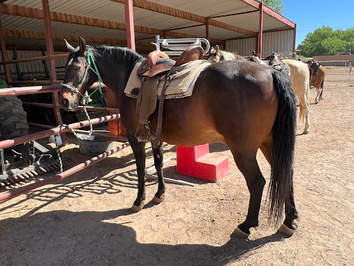 Equestrian facility Albuquerque