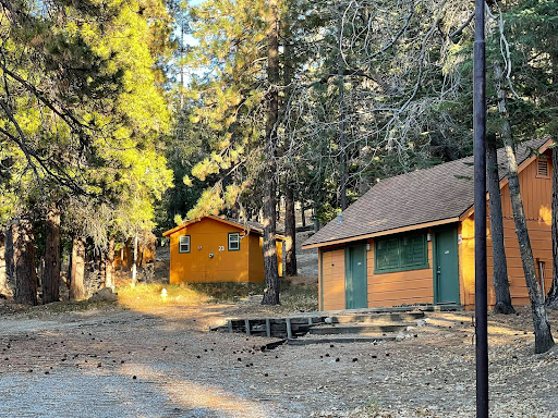 Conifer Camp