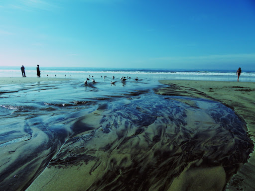 State Park «Moonlight State Beach», reviews and photos, 400 B St, Encinitas, CA 92024, USA