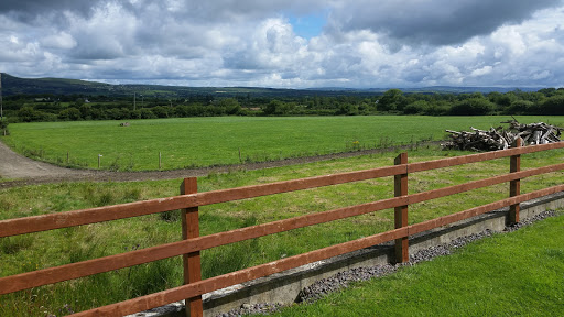 Paudie Clifford