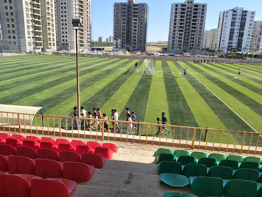 Futbol Kulübü Diyarbakır