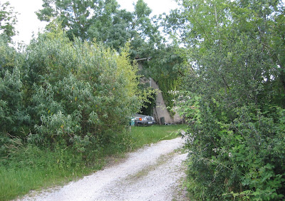Trefeil Nicolas à Puylaurens