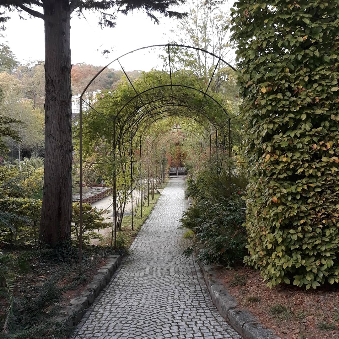 Photo n° 2 de l'avis de Agnes.h fait le 10/11/2018 à 17:33