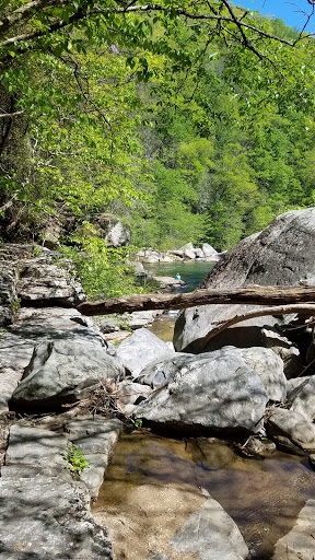 Tourist Attraction «The Gorge - A Zipline Canopy Tour», reviews and photos, 166 Honey Bee Dr, Saluda, NC 28773, USA