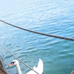 Photo n°3 de l'avis de MANUEL.I fait le 04/07/2021 à 08:57 sur le  Marconi Beach Arona à Arona