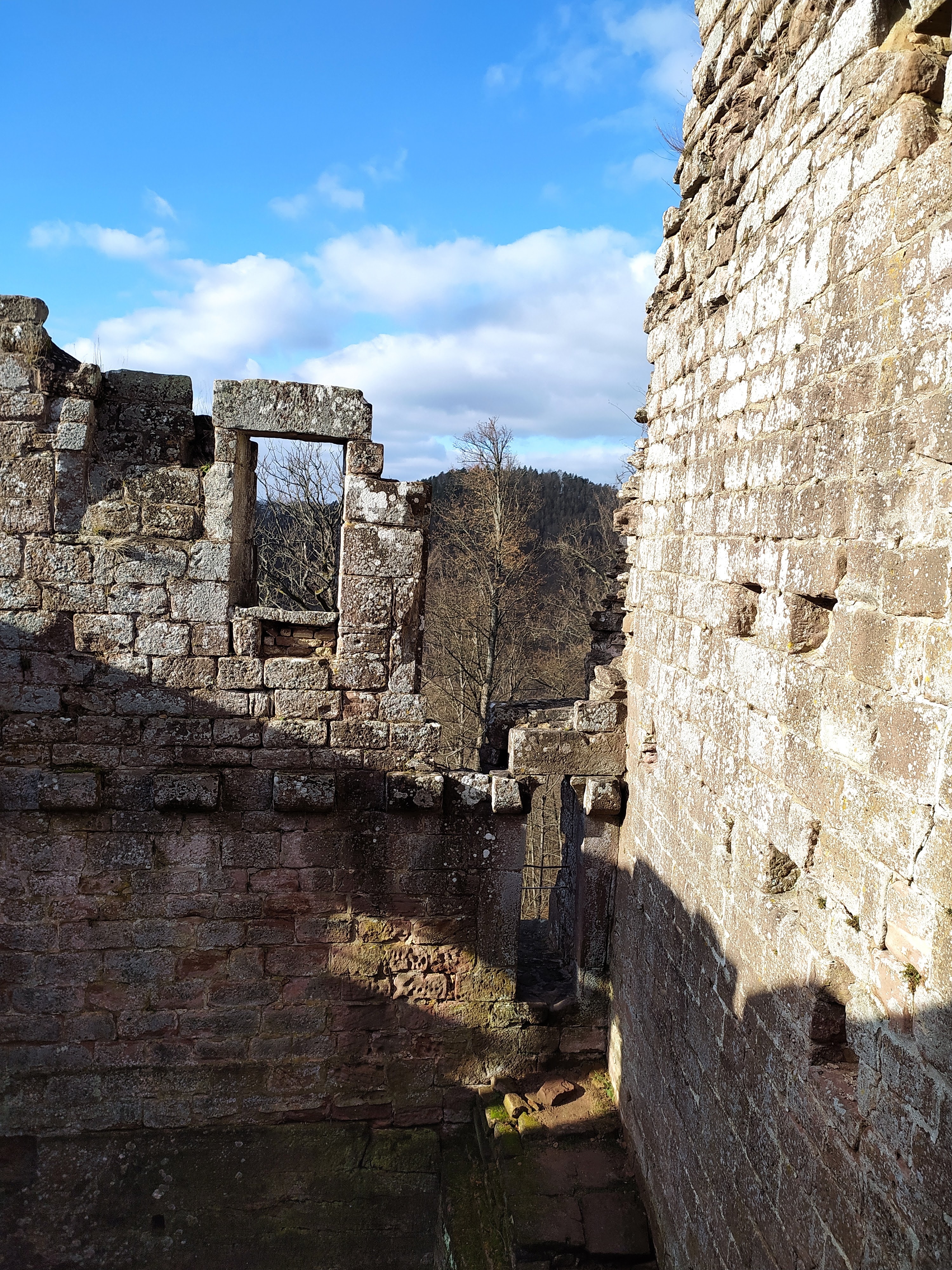 Photo n° 1 de l'avis de Cathy.u fait le 30/01/2022 à 13:56