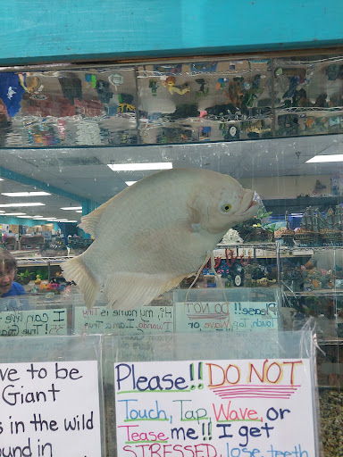 Tropical Fish Store «House of Tropicals Inc», reviews and photos, 7389 Baltimore Annapolis Blvd, Glen Burnie, MD 21061, USA