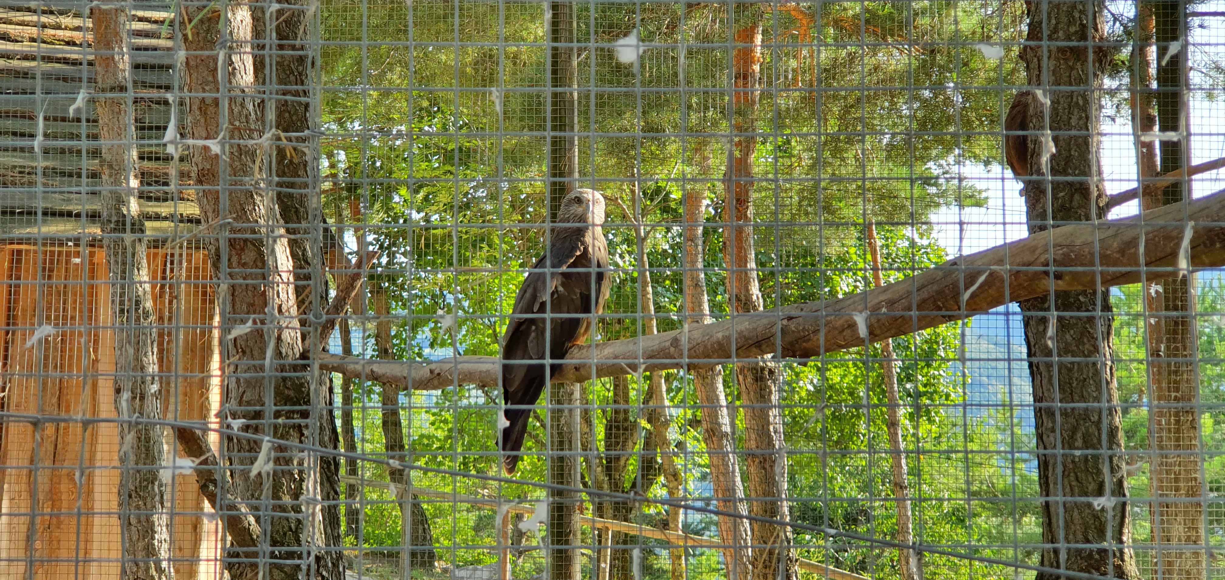 Photo n° 16 de l'avis de Alain.R fait le 30/08/2021 à 21:58