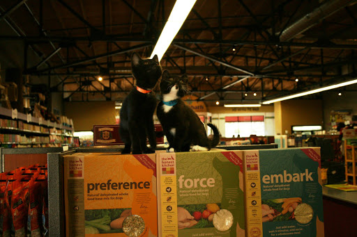 Pet Supply Store «Woodlands Pet Food & Treats», reviews and photos, 902 3rd St, San Rafael, CA 94901, USA