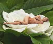 Aurora Health & Day Spa - Photo 7 - Car repair in Spokane, WA, Spokane