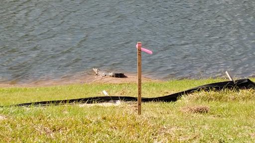 Nature Preserve «Rye Preserve», reviews and photos, 905 Rye Wilderness Trail, Parrish, FL 34219, USA