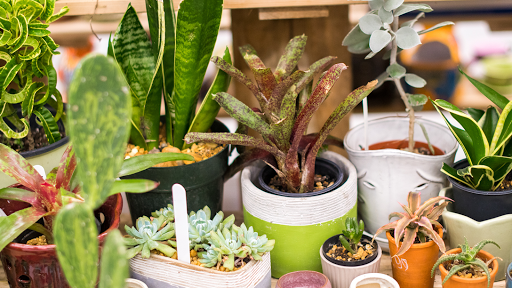 Hardware Store «Thompson Ace Hardware», reviews and photos, 9742 Old St Augustine Rd #114, Jacksonville, FL 32257, USA