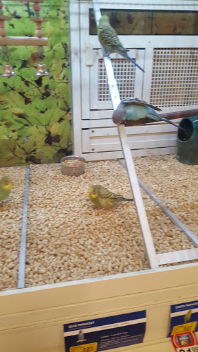 Pet Supply Store «PetSmart», reviews and photos, 1040 Cross Creek Dr, Saltillo, MS 38866, USA